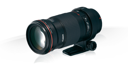 Canon EF 180mm f/3.5L Macro USM - Lenses - Camera & Photo lenses